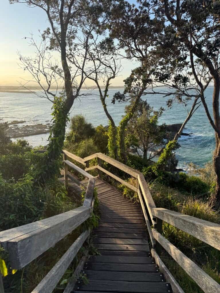 boardwalk